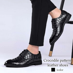 Y NR_CU[V[Y    OFF lC V[gu[c h {v EH[LO t  v ~ 