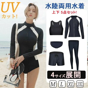 fB[X ̌^Jo[ ㉺ 5_Zbg XN[ p 򐅒 ݂ ̎q q w CO ċx C v[