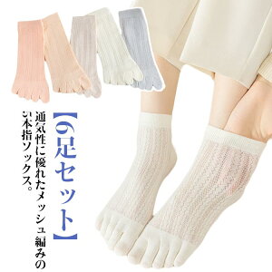 6Zbg X|[c zCg ܖ{w\bNX  5{w\bNX bV Rbg ėp  fB[X  h~ Xj[J