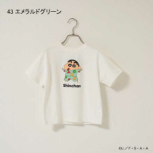 r[[b.ROOMyN񂿂zyJCeLVzA\[gvgTVc100-120cm 2025-049852271