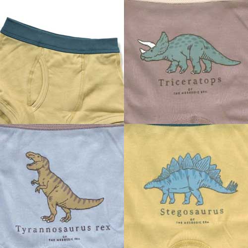 ampersand恐竜恐竜３色３柄パンツA100〜140cm2021-06SL351071 | トヨフク子供服　楽天市場店
