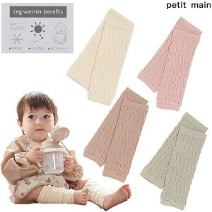 petit mainveB}CWK[hbOEH[}[2024-7A95435199533505