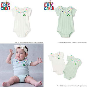 petit mainveB}Cy͂؂ނzt܃p[X70cm80cm2025-059552510