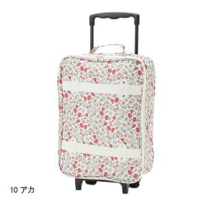 veB}Cpetit mainygxzX[cP[X/L2025-079653463