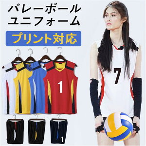 女子 バレーボール ユニフォーム 背番号 アイロン バレーボールウエア コスチューム 男子 名入れ 上下セット ジュニア バレーボールシャツ 無地 ナンバー オリジナル 上下セット 選抜優勝大