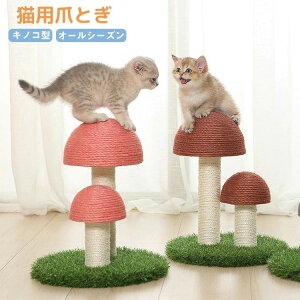 L ܂Ƃ  LmR^L^[ ̂^ Lp lR Lbg^[ ܌ ܖ Lbg|[ L̂ ɂ񂶂^ VR