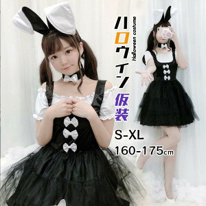 nEB  l  RXv Ch oj[K[ ubN  WjA fB[X nEB[ߑ RX`[ l P