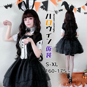 nEB  l  Ch RXv oj[K[ ubN  WjA fB[X nEB[ߑ s[X ZNV[