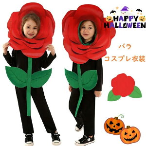   nEB[ ߑ ̎q j̎q  o RXvߑ KN rose w RX`[ 킢 LbY q n