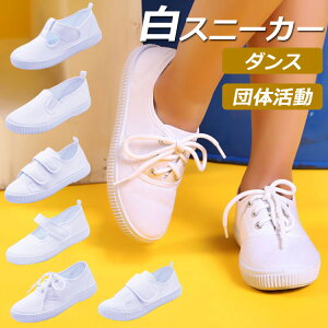 㗚 LbY C Xj[J[  `A_X V[Y _XV[Y qbvzbv _XC [Jbg Ȃ XN[ C w