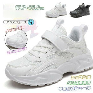 _XV[Y LbY _X Xj[J[ [Jbg L b ؍ K-POP C bV  C q q `A_X _XV[Y