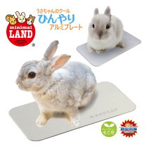 楽天市場】チンチラ ケージ（種類（小動物）ウサギ）（ペット・ペット 