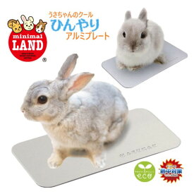 【エコ涼感】うさぎ アルミプレート マット プレート モルモット ハリネズミ モモンガ デグー チンチラ 小動物 ペット 涼しい やさしい 冷たさ 過ごしやすい 快適 クール 電気不使用 持ち運び 便利 キャリーケース ケージ エコ お手入れ簡単 安全 パッド 熱中症 暑さ 対策