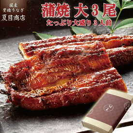 【エントリーでP5倍確定！】プレゼント ギフト うなぎ 蒲焼き 155-167g×3尾 大盛3人前 送料無料 国産 愛知県産 専門店 39(サンキュー)ショップ 母の日 父の日 お祝い 誕生日 食べ物 真空パック 贈り物