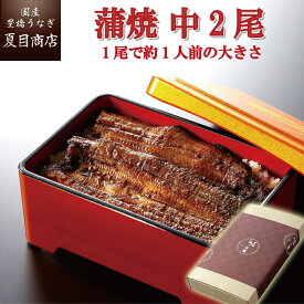 プレゼント ギフトうなぎ 鰻 ウナギ unagi 蒲焼き 中サイズ 115-130g×2尾 約2人前送料無料 国産 愛知県産 専門店 お歳暮 誕生日 食べ物 真空パック 贈り物 内祝い 60代 70代 80代 孫
