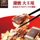 【250円OFFクーポンあり】プレゼント ギフトうなぎ 蒲焼き 155-167g×5尾 大サイズ 大盛5人前 送料無料 国産 愛知県産 専門店 お中元 土用の丑 暑中見舞い 残暑見舞い 誕生日 食べ物 真空パック 贈り物 喜ばれる 内祝い 60代 70代 80代