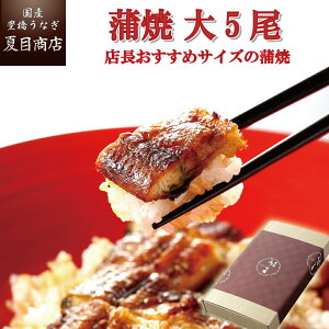 yő200~OFFN[|zv[g MtgȂ Ă 155-167g×5 TCY 吷5lO  Y mY X Ε a Hו ^pbN 蕨 j 60 70 80