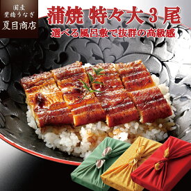 プレゼント ギフトうなぎ 鰻 ウナギ 蒲焼き 特々大サイズ 211-230g×3尾 約6人前 風呂敷包み送料無料 国産 愛知県産 専門店 ハロウィン お歳暮 誕生日 食べ物 真空パック 贈り物 喜ばれる 内祝い 60代 70代 80代 孫