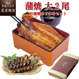 プレゼント ギフトうなぎ 蒲焼 155-167g×2尾と肝蒲焼き串×3本 大盛2人前 送料無料 国産 愛知県産 専門店 39(サンキュー)ショップ 母の日 父の日 お祝い 誕生日 食べ物 真空パック 贈り物