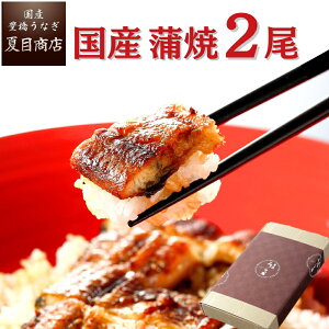 v[g MtgȂ Ă ×2 EEXTCY 2lO`4lO  Y mY X Ε a Hו ^pbN 蕨 j 60 70 80