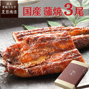 v[g MtgȂ Ă ×3 EEXTCY 3lO`6lO  Y mY X Ε a Hו ^pbN 蕨 j 60 70 80