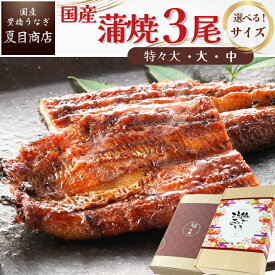 うなぎ ギフト 国産 豊橋産 蒲焼き 3尾選べるサイズ 中・大・特々大 約3人前〜約6人前送料無料 愛知県産 専門店 ハロウィン お歳暮 誕生日 プレゼント 食べ物 真空パック 贈り物 喜ばれる 内祝 60代 70代 80代