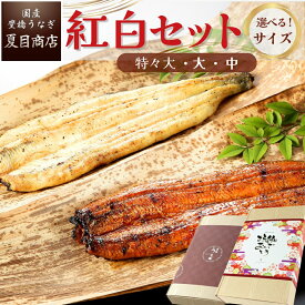 【先着順！最大150円クーポン】うなぎ 国産 ギフト プレゼント 豊橋産 紅白セット 蒲焼き 白焼き 各1尾選べるサイズ 中・大・特々大 約2人前〜約4人前送料無料 国産 愛知県産 専門店 父の日 お中元 誕生日 食べ物 真空パック 贈り物 喜ばれる 内祝