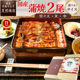 【250円OFFクーポンあり】うなぎ ギフト 国産 豊橋産 蒲焼き 2尾選べるサイズ 中・大・特々大 約2人前〜約4人前送料無料 愛知県産 専門店 お中元 土用の丑 暑中見舞い 残暑見舞い 誕生日 プレゼント 食べ物 真空パック 贈り物 喜ばれる 内祝 60代 70代 80代