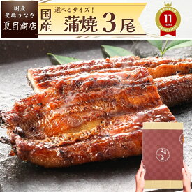 うなぎ 国産 ギフト プレゼント 豊橋産 蒲焼き 3尾選べるサイズ 中・大・特々大 約3人前〜約6人前送料無料 愛知県産 専門店 ハロウィン お歳暮 誕生日 食べ物 真空パック 贈り物 プレゼント 喜ばれる 内祝