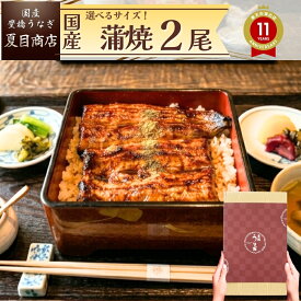 【250円OFFクーポンあり】うなぎ ギフト 国産 豊橋産 蒲焼き 2尾選べるサイズ 中・大・特々大 約2人前〜約4人前送料無料 愛知県産 専門店 お中元 土用の丑 暑中見舞い 残暑見舞い 誕生日 プレゼント 食べ物 真空パック 贈り物 喜ばれる 内祝 60代 70代 80代