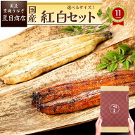 【250円OFFクーポンあり】うなぎ 国産 ギフト プレゼント 豊橋産 紅白セット 蒲焼き 白焼き 各1尾選べる…