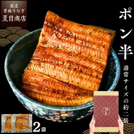 うなぎ 国産 ギフト 豊橋産 蒲焼き ポン半（カット） 110-130g×2袋 個包装 約2人前送料無料 愛知県産 専門店 ハロウィン お歳暮 誕生日 食べ物 真空パック プレゼント 贈り物 ご贈答 内祝