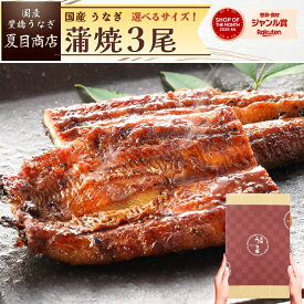 うなぎ 国産 ギフト プレゼント 豊橋産 蒲焼き 3尾選べるサイズ 中・大・特々大 約3人前〜約6人前送料無料 愛知県産 専門店 ハロウィン お歳暮 誕生日 食べ物 真空パック 贈り物 プレゼント 喜ばれる 内祝