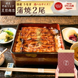 うなぎ 国産 ギフト プレゼント 豊橋産 蒲焼き 2尾選べるサイズ 中・大・特々大 約2人前〜約4人前送料無料 愛知県産 専門店 ハロウィン お歳暮 誕生日 食べ物 真空パック 贈り物 プレゼント 喜ばれる 内祝