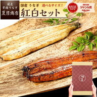 うなぎ 国産 ギフト プレゼント 豊橋産 紅白セット 蒲焼き 白焼き 各1尾選べるサイズ 中・大・特々大 約2…