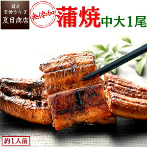 ȂāiYj131-154g×1 1lO ̕iƓ Y mY X Ε a v[g Hו 蕨 Mtg