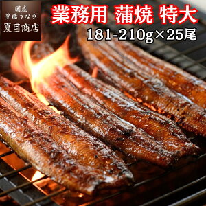 Ɩp ȂĂ wJ (1181-210g×25)  Y mY X nEB Ε a v[g Hו ^pbN 蕨 j Mtg