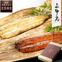 御中元 プレゼント ギフトうなぎ 紅白セット 蒲焼き 白焼き 155-167g×各1尾 大サイズ 大盛2人前送料無料 国産 愛知県…