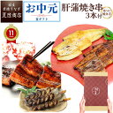 御中元 ギフト うなぎ 国産 豊橋産 大サイズ + 肝蒲焼き串×3本選べる 焼き方 紅白 (蒲焼 白焼) ×各1尾 蒲焼2尾 蒲焼3尾送料無料 愛知県産 専門店 お中元 土用の丑 暑中見舞い 残暑見舞い 誕生日 食べ物 真空パック 贈り物 プレゼント 喜ばれる 内祝