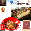 御中元 ギフト うなぎ 国産 豊橋産 大サイズ + 蒲焼たれ80ml選べる 焼き方 紅白 (蒲焼 白焼) ×各1尾 蒲焼き2尾 蒲焼3尾送料無料 愛知県産 専門店 お中元 土用の丑 暑中見舞い 残暑見舞い 誕生日 食べ物 真空パック 贈り物 プレゼント 喜ばれる 内祝