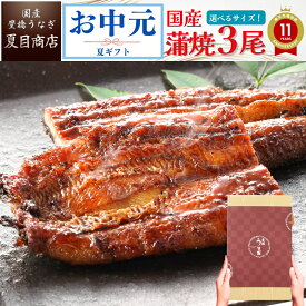 【最大200円OFFクーポン】御中元 ギフト うなぎ 国産 豊橋産 蒲焼き 3尾選べるサイズ 中・大・特々大 約3人前〜約6人前送料無料 愛知県産 専門店 お中元 夏ギフト 土用の丑 暑中見舞い 残暑見舞い 誕生日 食べ物 真空パック 贈り物 プレゼント 喜ばれる 内祝
