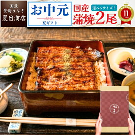 【最大200円OFFクーポン】御中元 ギフト うなぎ 国産 豊橋産 蒲焼き 2尾選べるサイズ 中・大・特々大 約2人前〜約4人前送料無料 愛知県産 専門店 お中元 夏ギフト 土用の丑 暑中見舞い 残暑見舞い 誕生日 食べ物 真空パック 贈り物 プレゼント 喜ばれる 内祝