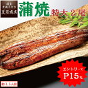 【11/11(火)9:59まで！エントリーでP15％→実質6,178円】うなぎ蒲焼き 特大181-210g×2尾 約3.5人前 送料無料 国産 愛知県産 専門店 お歳暮 誕生日 プレゼント 食べ物 真空パック 贈り物 内祝い ギフト