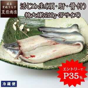 y11/11()9:59܂ŁIGg[P355,022~zȂ   (ÉEt) (260gE3PTCY)×2  Y mY X Y  ① `h BBQŔĂ⊗Ăɂ