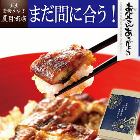 父の日 まだ間に合う プレゼント ギフト当店人気No.2 うなぎ 蒲焼き 大サイズ 155-167g×2尾 大盛2人前 送料無料 国産 愛知県産 専門店 39(サンキュー)ショップ お中元 お祝い 誕生日 食べ物 真空パック 贈り物 50代 60代 70代 80代