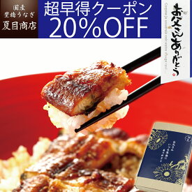 【超早得20％OFFクーポン利用で5,260円】父の日 早割 プレゼント ギフト当店人気No.2 うなぎ 蒲焼き 大サイズ 155-167g×2尾 大盛2人前 送料無料 国産 愛知県産 専門店 39(サンキュー)ショップ 母の日 父の日 お祝い 誕生日 食べ物 真空パック 贈り物