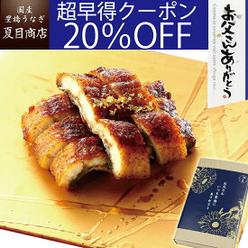 【超早得20％OFFクーポン利用で3,200円】父の日 早割 プレゼント ギフトうなぎ 蒲焼き きざみ 50-60g×3袋 少量3人前 送料無料 国産 愛知県産 専門店 39(サンキュー)ショップ 母の日 父の日 お祝い 誕生日 食べ物 真空パック 贈り物