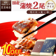 【10％OFF クーポン！4月末まで】父の日 早割 ギフト プレゼントうなぎ 国産 蒲焼き 2尾選べるサイズ 中…