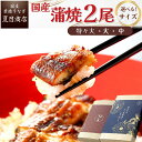 父の日 ギフト プレゼントうなぎ 国産 蒲焼き 2尾選べるサイズ 中・大・特々大 約2人前〜約4人前送料無料 愛知県産 専門店 誕生日 食べ物 真空パック 贈り物 喜ばれる 内祝い 60代 70代 80代