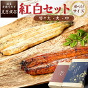 父の日 ギフト プレゼントうなぎ 国産 紅白セット 蒲焼き 白焼き 各1尾選べるサイズ 中・大・特々大 約2人前〜約4人前送料無料 愛知県産 専門店 誕生日 食べ物 真空パック 贈り物 ご贈答 内祝い 食べ比べ 60代 70代 80代